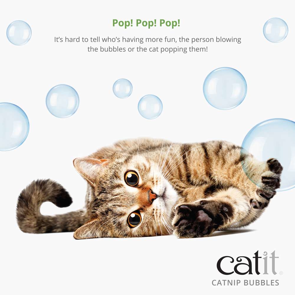Catit Catnip Bubbles - Image 2