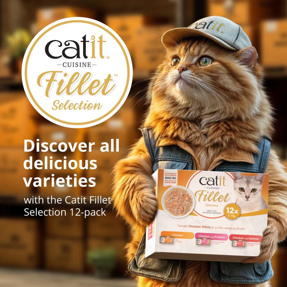 Catit Cuisine Chicken Fillet - Image 8