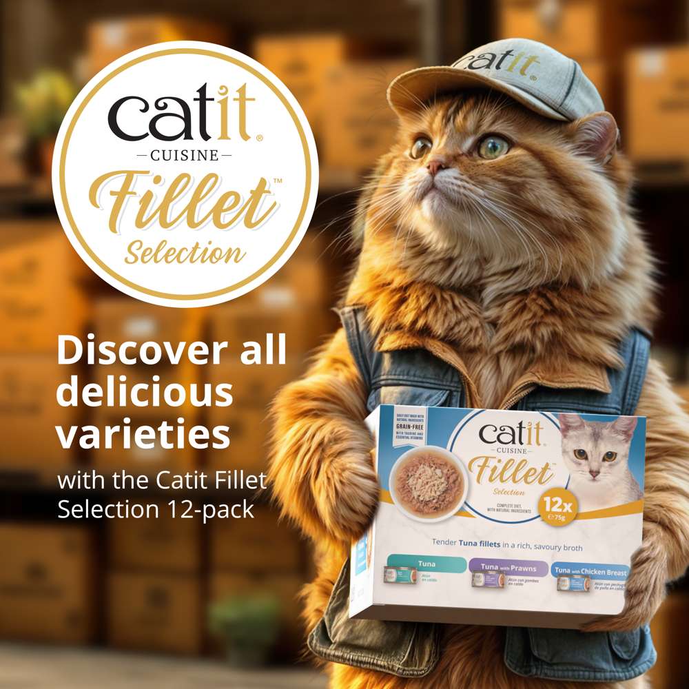 Catit Cuisine Tuna Fillet - Image 8