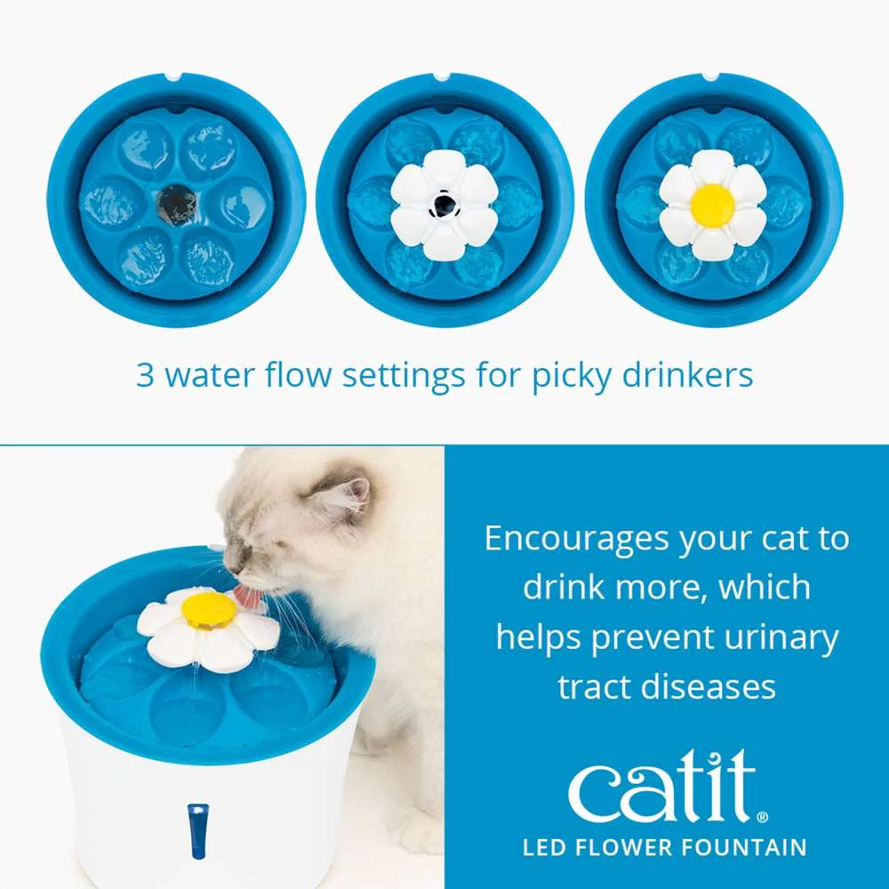 Catit LED Flower Water Drinking Fountain - Image 5