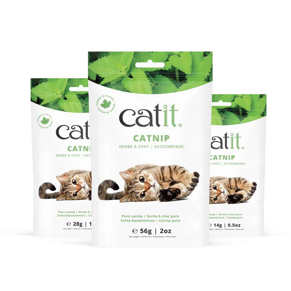 Catit Play & Scratch Essentials Box - Image 5