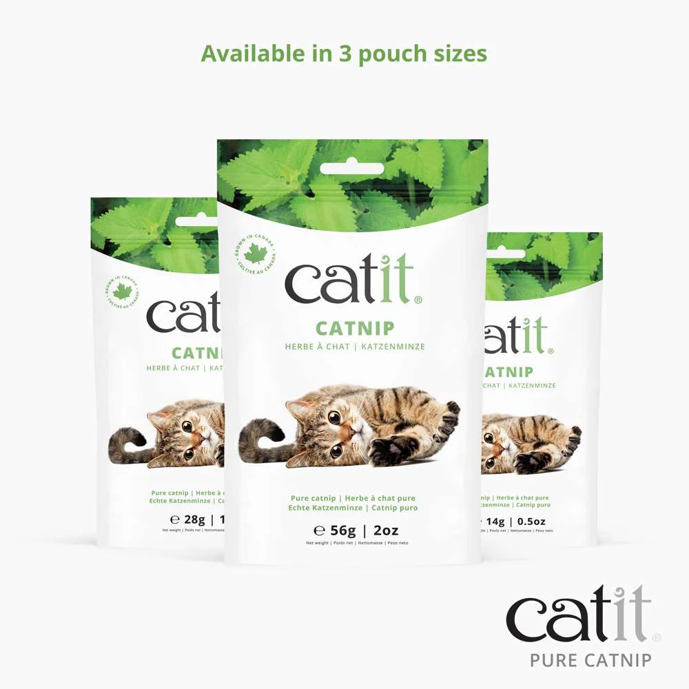 Catit Pure Catnip - Image 5