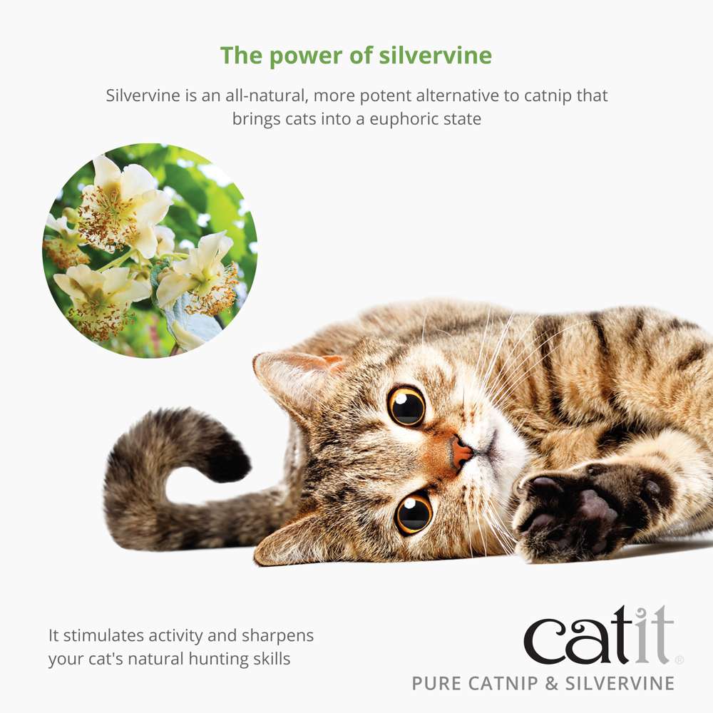 Catit Pure Catnip and Silvervine Mix - Image 4