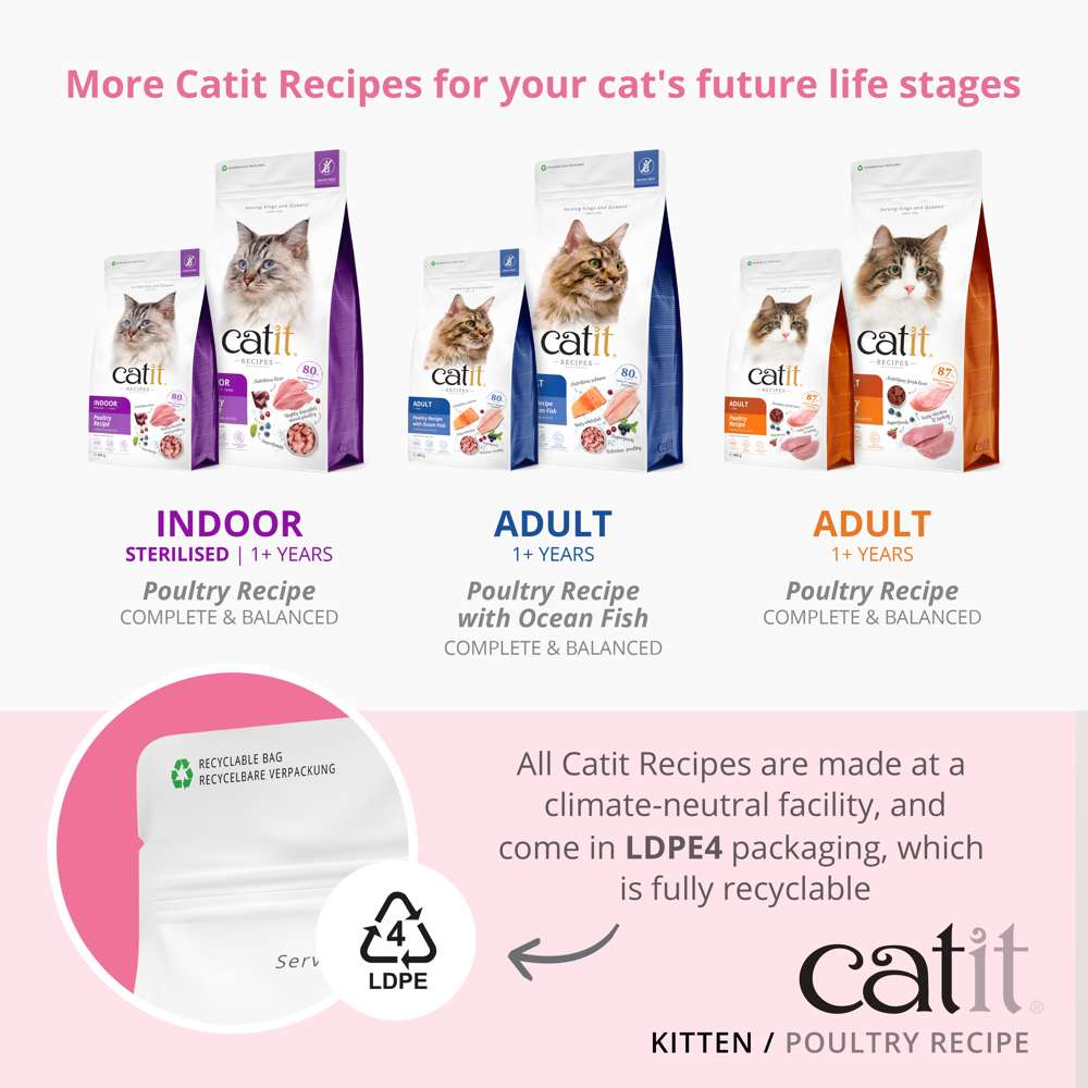 Poultry Grain Free - For Kittens - Image 5
