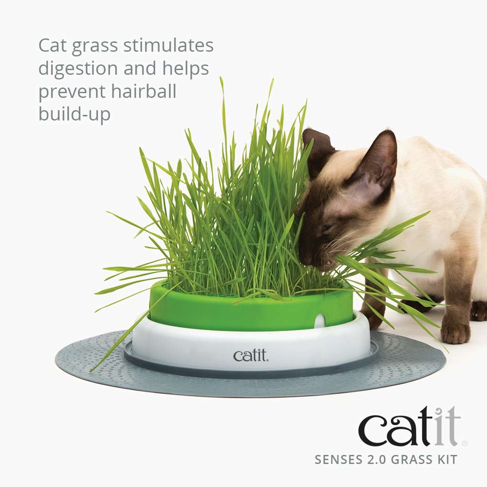 Catit Senses Cat Grass Refill Kit - Image 3