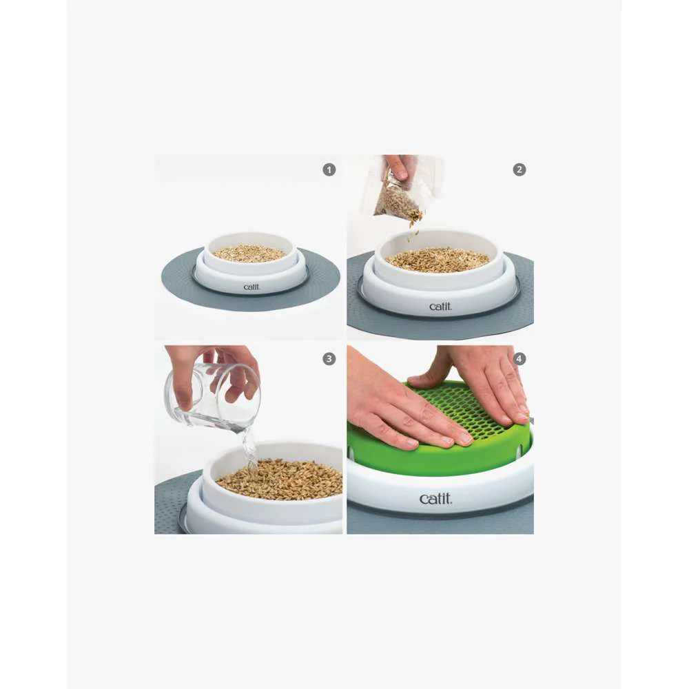 Catit Senses Cat Grass Refill Kit - Image 5