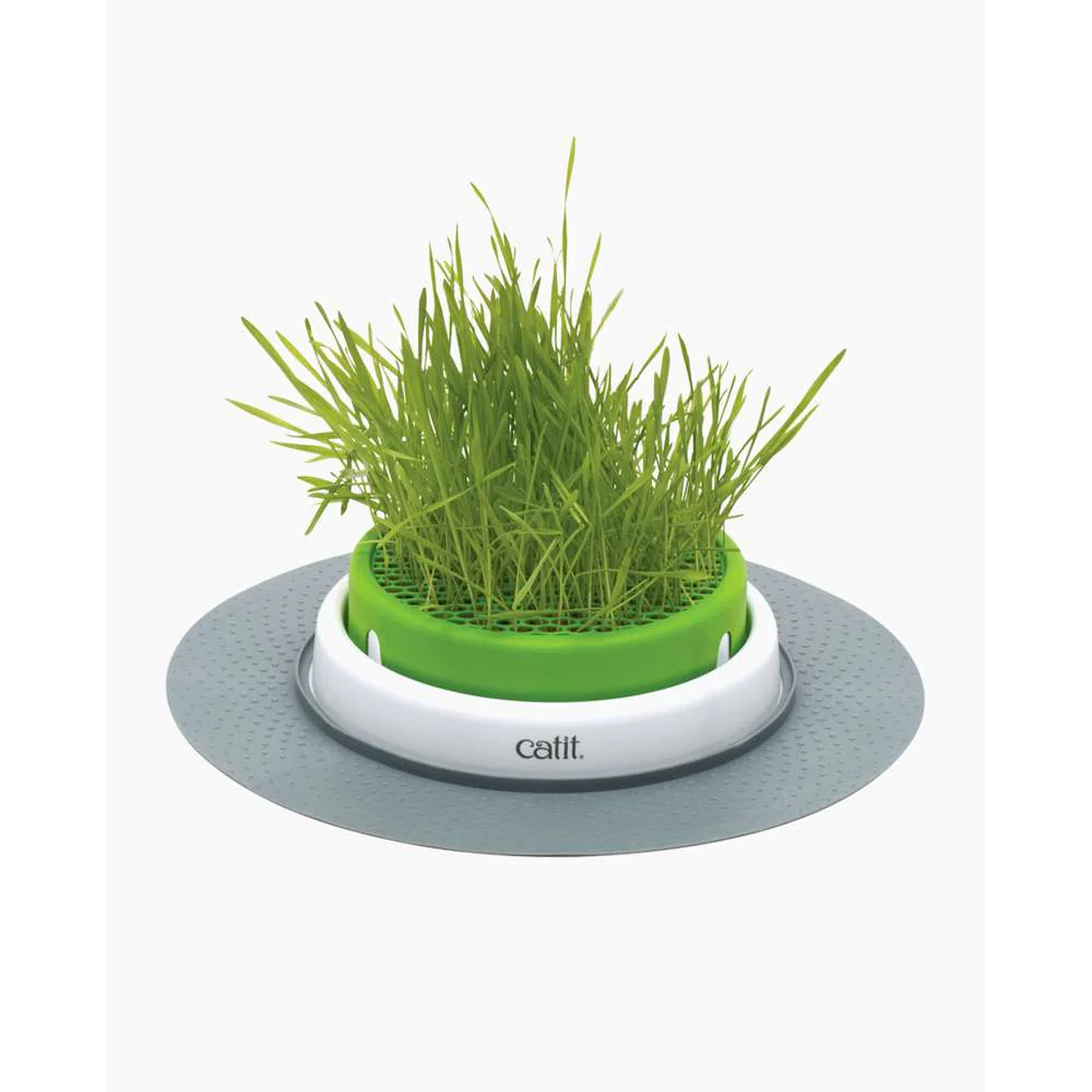 Catit Senses Cat Grass Planter
