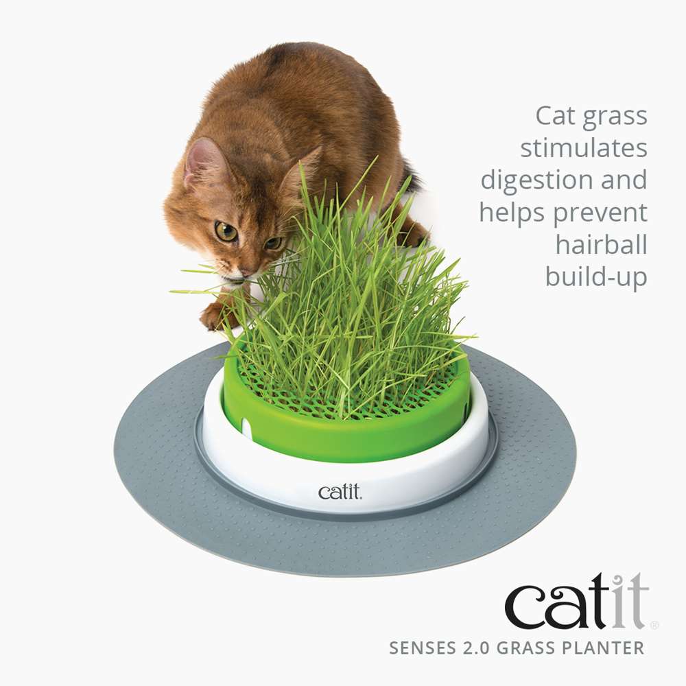 Catit Senses Cat Grass Planter - Image 2
