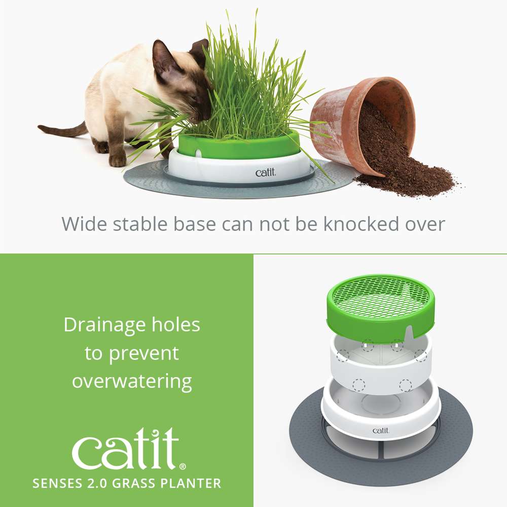 Catit Senses Cat Grass Planter - Image 3