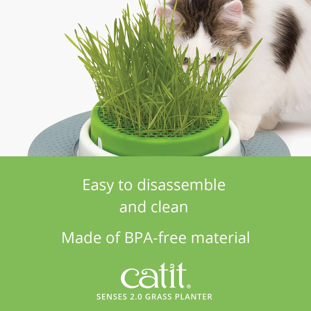 Catit Senses Cat Grass Planter - Image 6