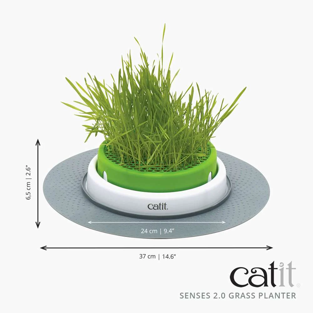 Catit Senses Cat Grass Planter - Image 8