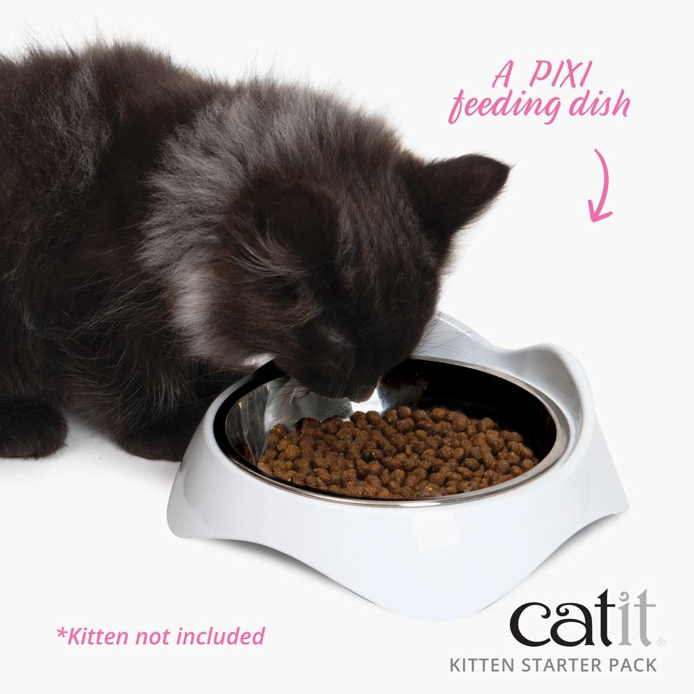 Kitten Starter Box - Image 4