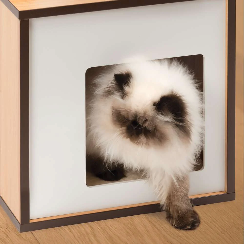Vesper Box Small – Walnut - Image 3
